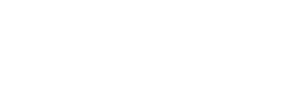 SAYYES X THERMAGE FLX