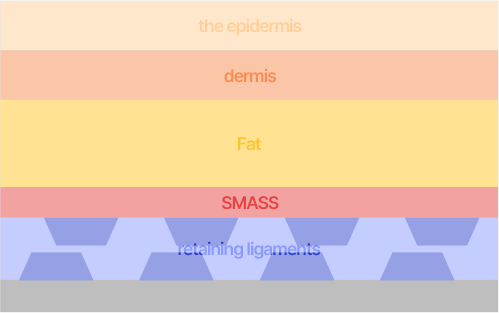 The SMAS is a layer of fibrous fascia between the fat and muscle layers in the skin. You can expect satisfactory mini facelift results, as the SMAS, which is typically the root cause of sagging skin, is lifted up.